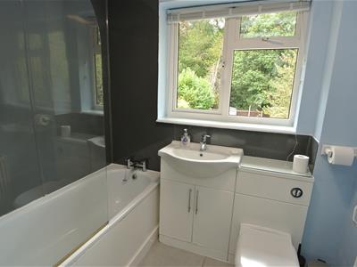 Picture 11